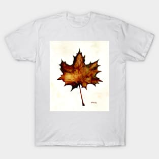 Autumn leaf T-Shirt